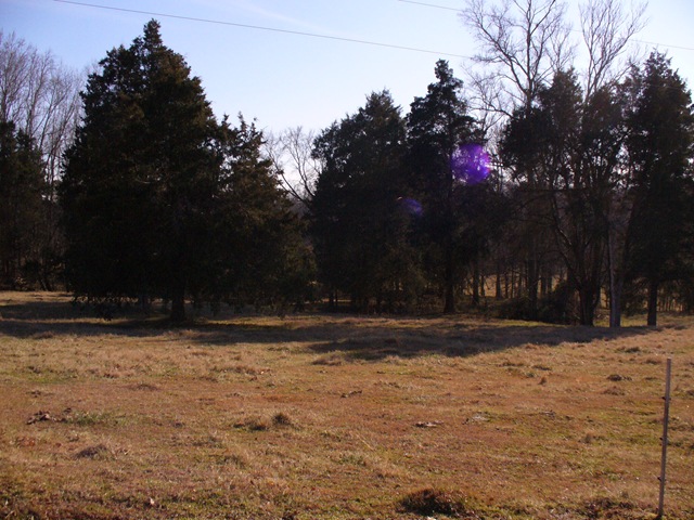 [Granddaddyshomeplace0874.jpg]