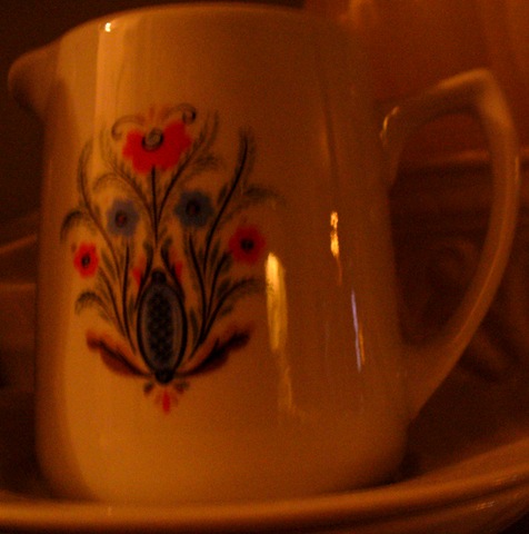 [Jan.2010 thrift shopping garden 021[23].jpg]