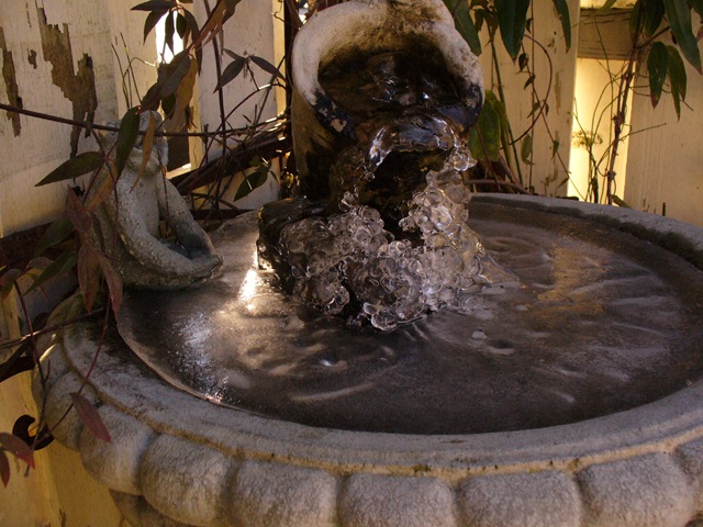 [Jan.2010 thrift shopping garden 027[4].jpg]