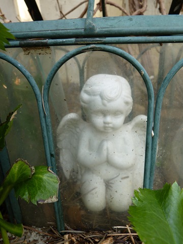 [March 2010 Angels & empty pots 027[4].jpg]