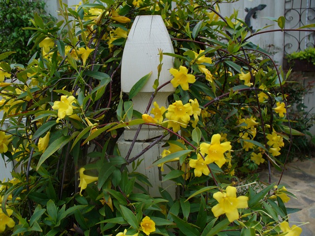 [Spring walk in garden 007[2].jpg]
