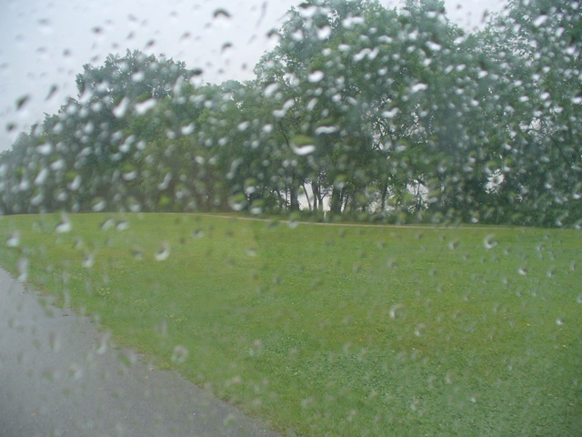 [A rainy Sunday afternoon on the trails 020[4].jpg]