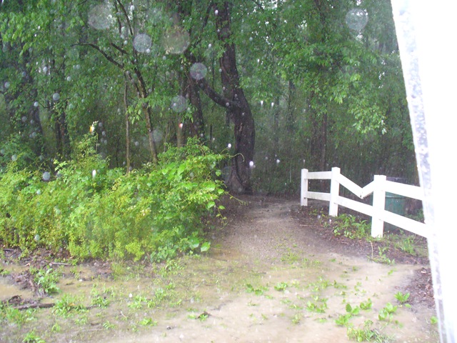 [A rainy Sunday afternoon on the trails 024[7].jpg]