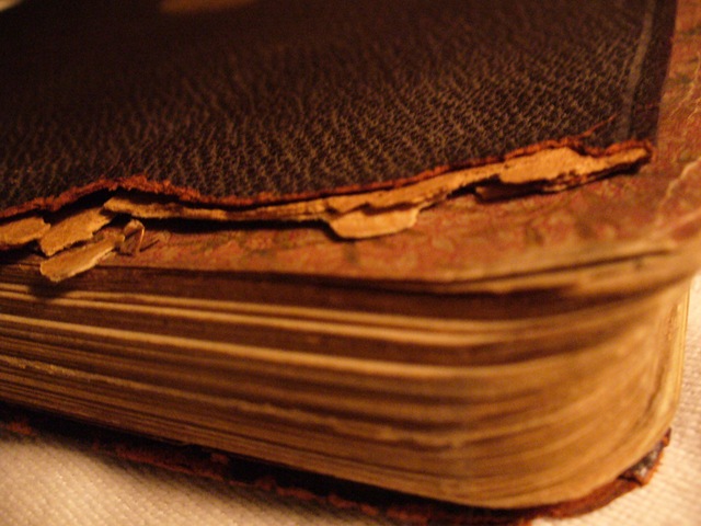 [Misc Sept. 2009 030[5].jpg]