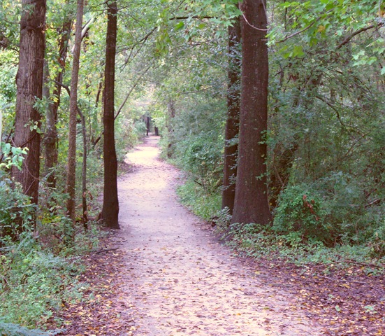 [cooking pics and wordless blog post on trails 2009 034[13].jpg]