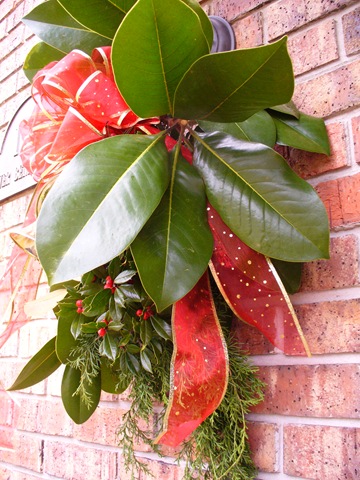 [Christmas 2009 061[2].jpg]