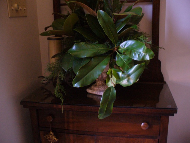 [Christmas 2009 077[5].jpg]
