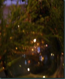 Christmas 2009 096