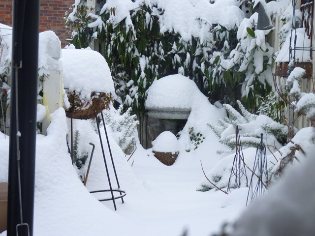 [Jan 10 2011 8-9 inches of snow 001[4].jpg]