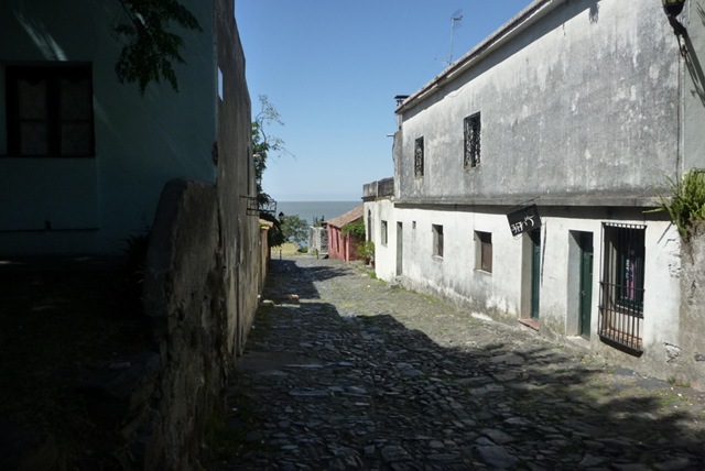 [P1090099[2].jpg]