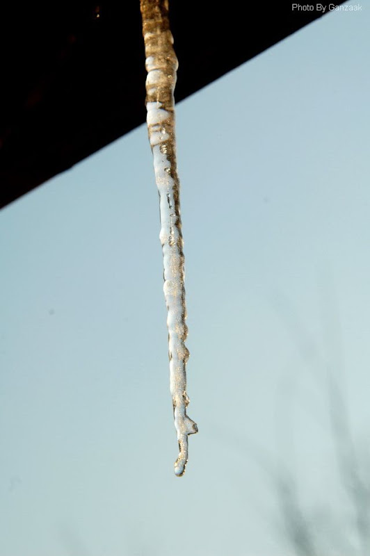 DSC_8600.JPG