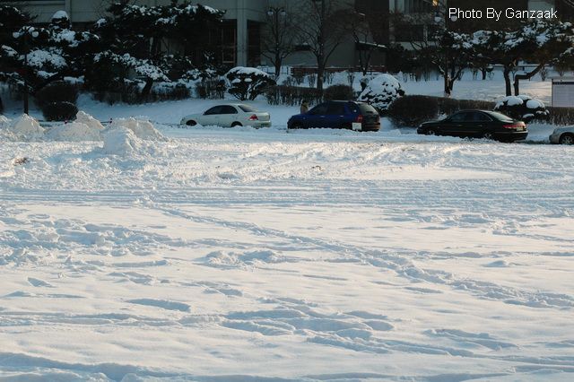 DSC_8601.JPG