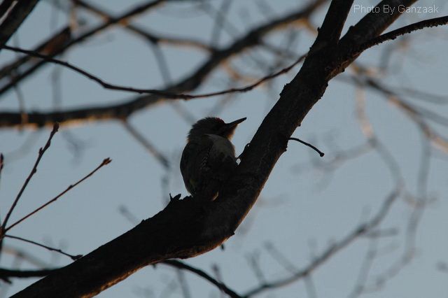 DSC_8650.JPG