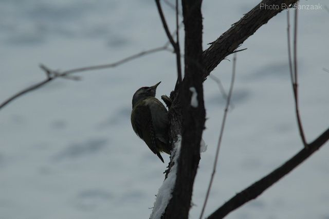 DSC_8651.JPG