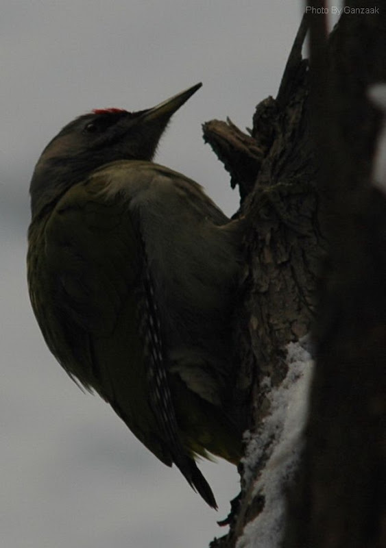DSC_8652.JPG