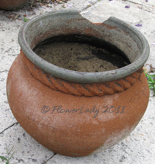 [05-23-found-pot[11].jpg]
