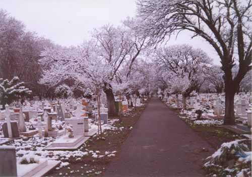 Cementerio. Cementerio+La+Plata