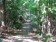 IMG_4369 IMG_4369