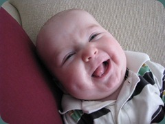 IMG_3750 IMG_3750