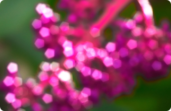 spots