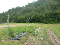 P1020244.JPG