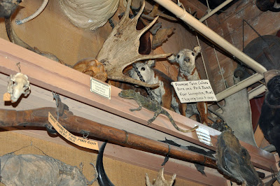 Ye Olde Curiosity Shop, Seattle, WA