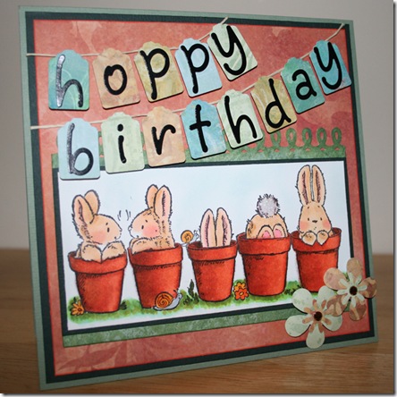 IMG_1410 cropped