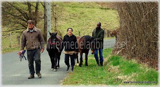 Une randonnée avec les poneys de la ferme pédagogique. Une randonnée avec les poneys de la ferme pédagogique.