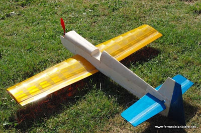 Le rubin, avion de voltige électrique