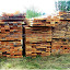 Le douglas pour la construction de la future salle de restauration de la ferme pédagogique.