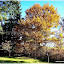 L'automne à la ferme