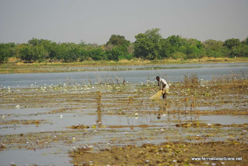 pêche sur une retenue d'eau pluviale