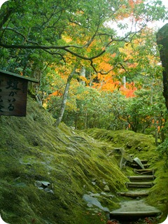 JAPAN 326
