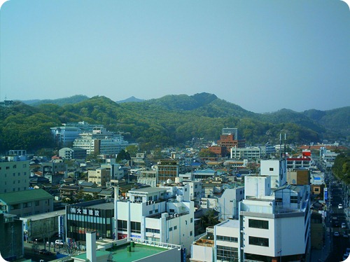 ashikaga view 001 ashikaga view 001