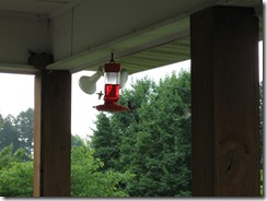 IMG_2433 IMG_2433
