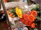 Behind the Scenes: In Full Bloom, Part 1