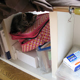 こんな感じ