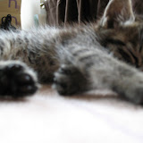 睡眠中