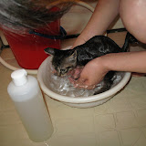 水の交換