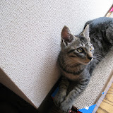 こうしてみると大きくなりました。