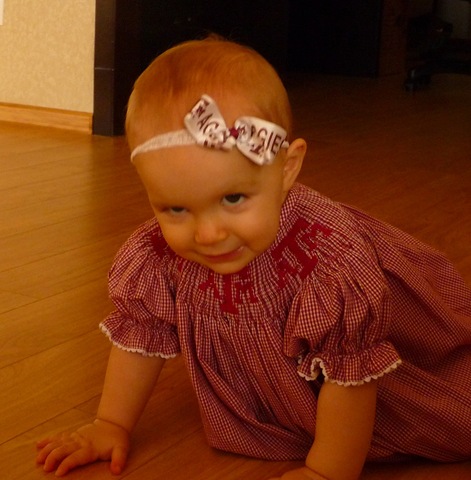 [P10508742.jpg]
