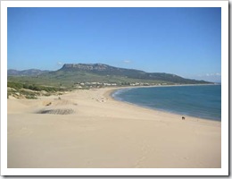 76-bolonia