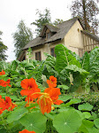 dom-marieantoinette-40.jpg