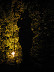 Versailles OFF nuits blanches oct 2006 065.jpg