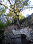 delices_versaillais_2_05.JPG