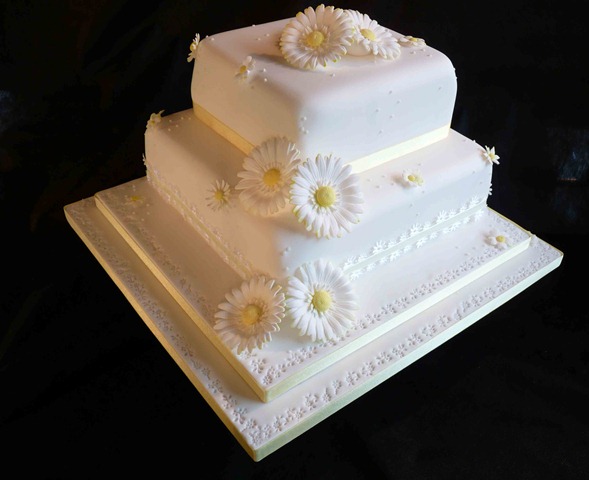 [2-tier-daisy-wedding-cake[3].jpg]