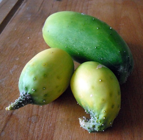 [Overripe Cucumbers[3].jpg]