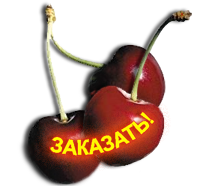Заказать свой аромат