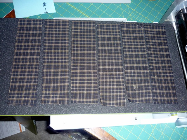 [P10906462.jpg]