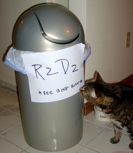 [igotmyhalloweencostumedonekittehapru.jpg]